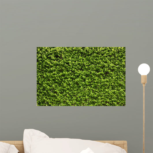 Green Leaves Wall Wall Decal