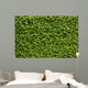 Green Leaves Wall Wall Decal