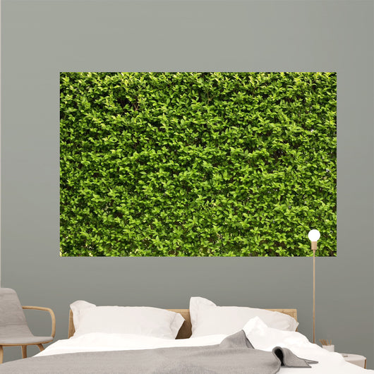 Green Leaves Wall Wall Decal