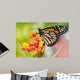 Monarch Butterfly Feeding Wall Decal