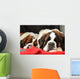 Saint Bernard