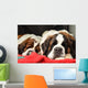 Saint Bernard
