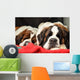 Saint Bernard