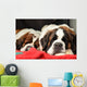 Saint Bernard