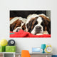 Saint Bernard