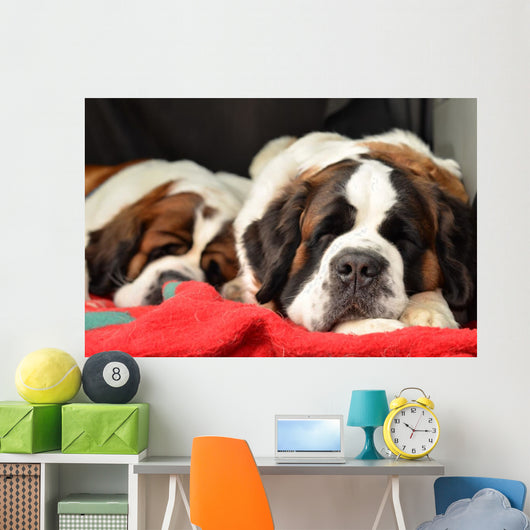 Saint Bernard