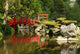 Pont Chinois Wall Decal