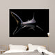 Shark on Black Wall Mural