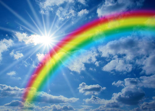 Rainbow Wall Mural