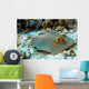 Bluespotted Stingray Wall Mural