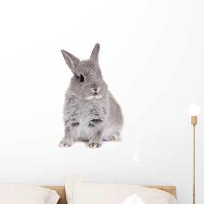 Gray Baby Bunny Rabbit Wall Decal shown on a wall