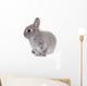 Little Gray Baby Bunny Wall Decal