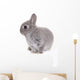 Little Gray Baby Bunny Wall Decal