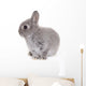 Little Gray Baby Bunny Wall Decal