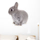Little Gray Baby Bunny Wall Decal
