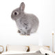 Little Gray Baby Bunny Wall Decal