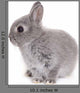 Little Gray Baby Bunny Wall Decal