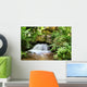 wasserfall Wall Mural