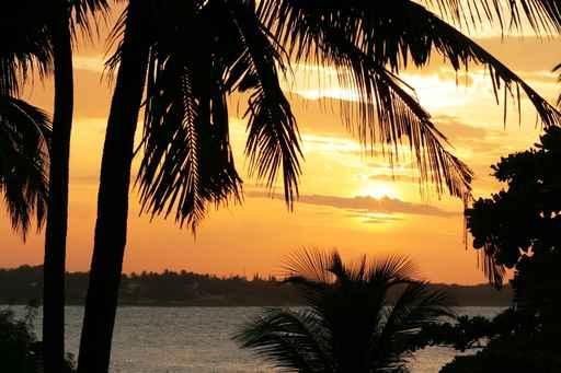 Sunset1 Wall Decal