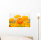 asiatic ranunculus flowers Wall Mural