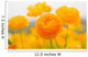 asiatic ranunculus flowers Wall Mural