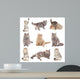 Photo Real Cats Wall Stickers