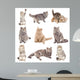Photo Real Cats Wall Decal