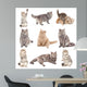 Photo Real Cats Wall Decal