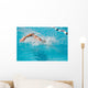 swim finals Wall Mural