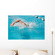 swim finals Wall Mural