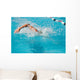 swim finals Wall Mural
