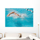 swim finals Wall Mural