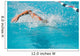 swim finals Wall Mural