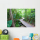 leafy walkway Wall Mural