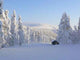 Lapland Wall Decal Design 1