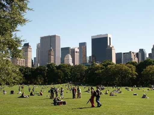Central Park 5 Wall Decal