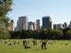 Central Park 5 Wall Decal