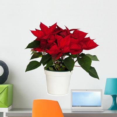 Potted Poinsettia Wall Decal shown on a wall