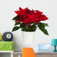 Potted Poinsettia Wall Decal