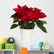 Potted Poinsettia Wall Decal
