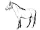 Outline Horse Wall Decal