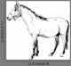 Outline Horse Wall Decal