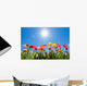 Tulips Sun