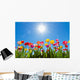 Tulips Sun