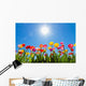 Tulips Sun