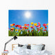 Tulips Sun
