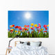 Tulips Sun