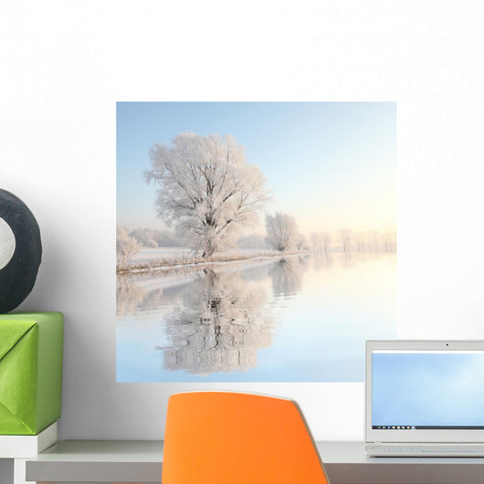 Frosty winter reflection Wall Mural