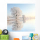 Frosty winter reflection Wall Mural