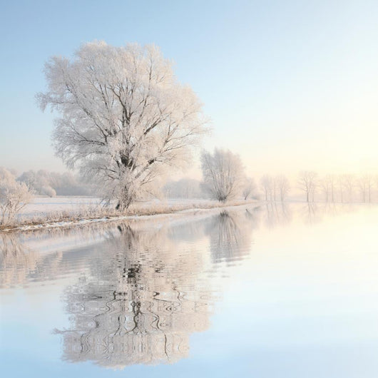 Frosty winter reflection Wall Mural
